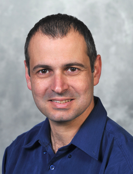 Prof. Leeor Kronik 